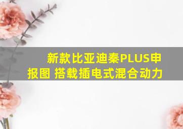 新款比亚迪秦PLUS申报图 搭载插电式混合动力